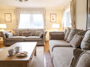 A living room with two sofas a wooden coffee table with cups and cookies at Tan Yr Allt in Dolanog near Meifod Powys