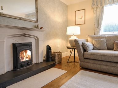 A living room with a fireplace a sofa a lamp on a side table and a window at Tan Yr Allt in Dolanog near Meifod Powys