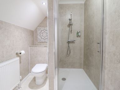 A bathroom with a toilet a radiator and a walk in shower at Tan Yr Allt in Dolanog near Meifod Powys
