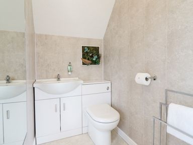 A bathroom with a toilet cabinet sink and towel holder at Tan Yr Allt in Dolanog near Meifod Powys