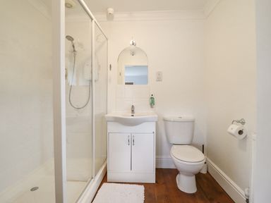 A bathroom with a shower enclosure sink with cabinet toilet and toilet paper holder at Tan Yr Allt in Dolanog near Meifod Powys