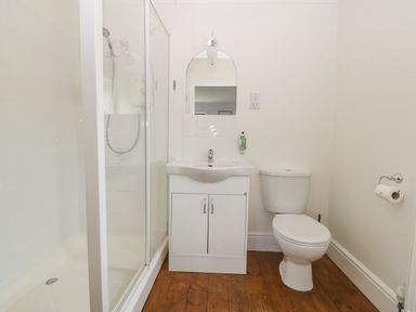 A bathroom with a shower cubicle a white sink with cabinet a wall mirror a toilet and toilet paper holder at Tan Yr Allt in Dolanog near Meifod Powys