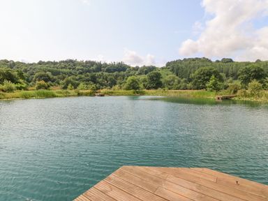 A wooden dock extending into a pond surrounded by green trees and bushes in a rural area