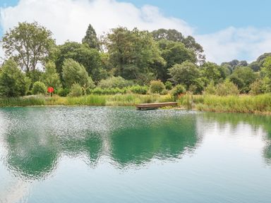 A pond with a small wooden dock surrounded by trees and vegetation at Tan Yr Allt in Dolanog near Meifod Powys