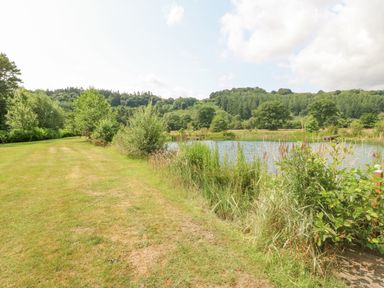A grassy path beside a pond with trees and hills in the background at Tan Yr Allt in Dolanog near Meifod Powys