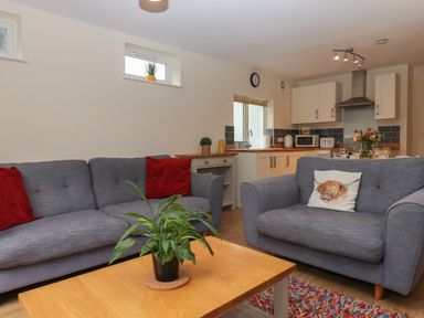 A living room with two gray sofas red pillows a wooden coffee table with a green plant and a kitchen area in the background at Mimosa in Dawlish