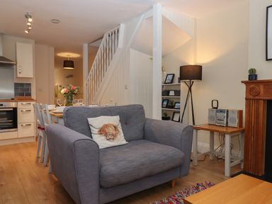 A living room with a gray armchair a pillow with a dog image a dining table with chairs and flowers a wooden fireplace and a stereo on a table at Mimosa in Dawlish