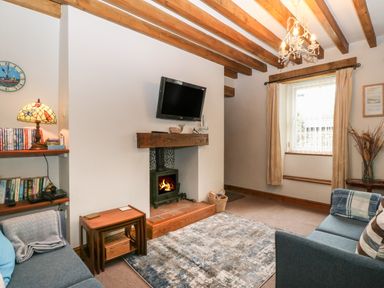 A living room with a fireplace television sofas bookshelves and a window at Ty Gwenyn in Rhydwyn