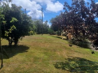 A garden with trees and bushes at Ty Gwenyn in Rhydwyn