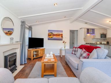 A living room with sofas a coffee table a television and a fireplace at Fell Foot Lodge Fellside 9 Limefitt Park near Troutbeck