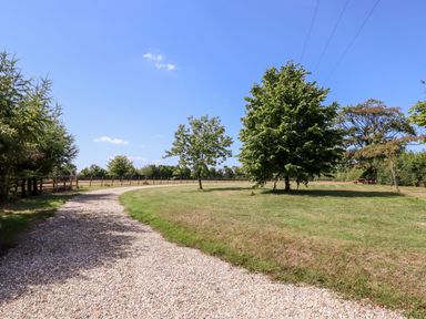 A gravel driveway curving through a grassy area with trees under a blue sky at Little Rowan at Rowan Park Farm in Ashwater