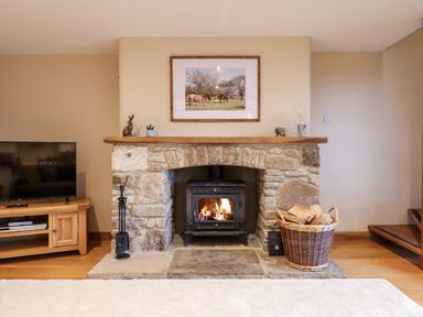 A stone fireplace with a wood-burning stove and a basket of firewood in a living room at Little Orchard in Ashburton Down near Ashburton