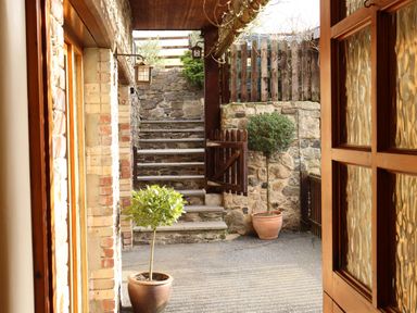 A stone patio with two potted trees a small wooden gate and stairs leading up at Little Orchard in Ashburton Down near Ashburton