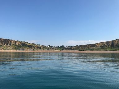 A view of cliffs and beach from the water at The Abbey Grange near Charmouth