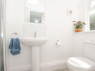 A bathroom with a pedestal sink a mirror a blue towel on a ring a toilet a toilet paper holder a plant on a window sill at Lundy View Chalet in Widemouth Bay