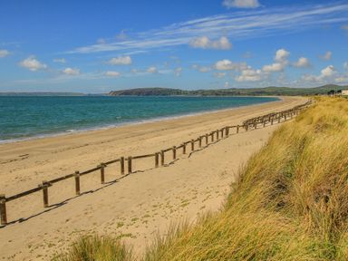 A sandy beach with wooden posts and grass alongside the shore at Moondunes - Pwllheli in Chwilog