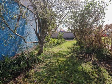 A garden area with green grass trees and a blue wall at 11 Penygroes in Llanddeusant