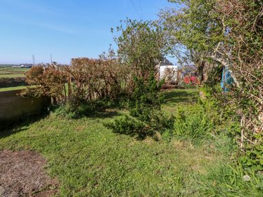 A grassy garden area with shrubs and trees surrounded by hedges with a view of fields in the background at 11 Penygroes in Llanddeusant