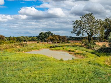 A small pond surrounded by grass trees benches and a picnic table at Andrus - Mayflower Meadow in Brandesburton