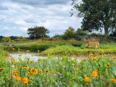 A natural garden area with a wooden bench and picnic table near a pond at Andrus - Mayflower Meadow in Brandesburton