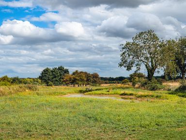 A grassy field with wildflowers a small pond benches and trees under a cloudy sky at Indrek - Mayflower Meadow in Brandesburton
