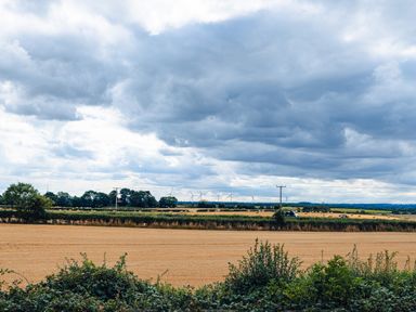 A farmland with green bushes in the foreground golden fields and wind turbines under a cloudy sky at Indrek - Mayflower Meadow in Brandesburton
