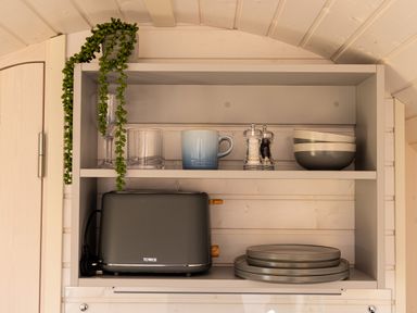 A kitchen shelf with a gray toaster plates bowls salt and pepper grinders glasses mug and a hanging green plant at Indrek - Mayflower Meadow in Brandesburton