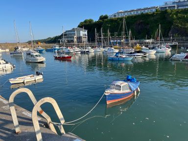 A harbor with small boats floating on water and buildings on a hillside at Old Orchard in Saundersfoot