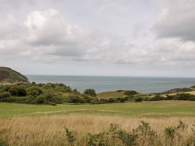 A coastal landscape with grassy fields and bushes overlooking the ocean at Porthwen Lodge in Bull Bay near Cemaes Bay