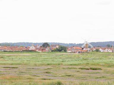 A field with grass and flowers with houses and a windmill in the background at Forge House in Cley Next The Sea