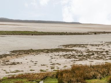 A tidal flat with patches of vegetation and water with a forested horizon at Fishermans Cottage in Malltraeth