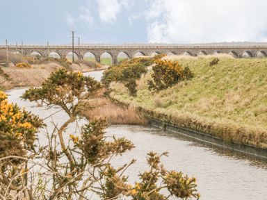 A canal with bushes and grass on either side and a stone arched bridge in the background at Fishermans Cottage in Malltraeth