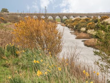 A river with yellow flowers and bushes along the bank with an arched stone bridge in the background at Fishermans Cottage in Malltraeth