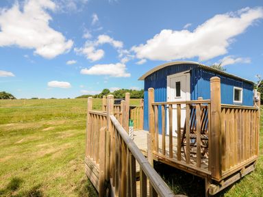 An outdoor wooden deck with chairs and a blue shed in a grassy field at Shepherds Hut in Boconnoc near Lostwithiel