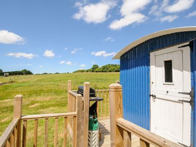 A small blue corrugated metal structure with a white door on a wooden deck overlooking a grassy field with trees and a horse in the distance at Shepherds Hut in Boconnoc near Lostwithiel