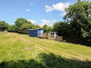 A blue shepherds hut with a wooden deck on a grassy hillside surrounded by trees at Shepherds Hut Boconnoc near Lostwithiel