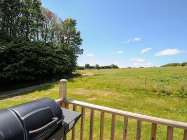 A barbecue grill on a wooden deck overlooking a grassy field and trees at Shepherds Hut in Boconnoc near Lostwithiel