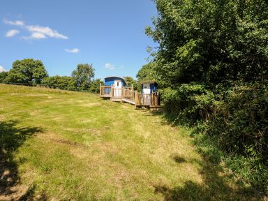 A grassy field with two blue huts connected by a wooden walkway near trees at Shepherds Hut Boconnoc near Lostwithiel