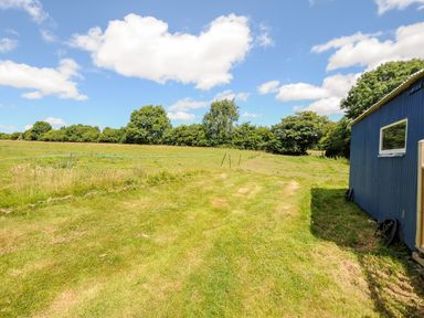 A grassy field with trees and a blue shed on the right at Shepherds Hut in Boconnoc near Lostwithiel