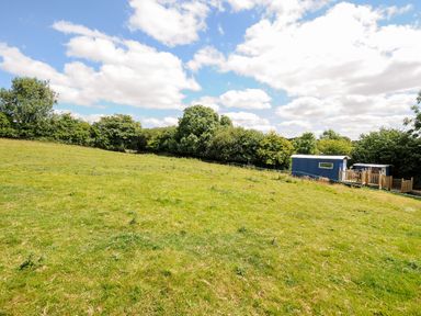 A grassy field with trees in the background and a small blue structure on the right at Shepherds Hut in Boconnoc near Lostwithiel