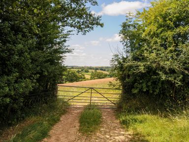 A metal farm gate on a dirt path with grassy fields and trees in the background at Shepherds Hut in Boconnoc near Lostwithiel