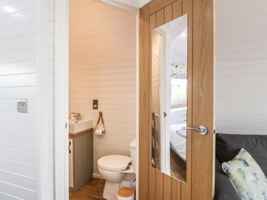 A bathroom with a toilet and sink next to a wooden door with a mirror at Laird Lodge 5 in Lochmaben