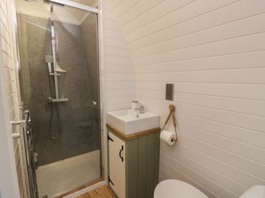 A small bathroom with a glass shower enclosure a white sink on a cabinet a toilet and a toilet paper holder at Laird Lodge 5 in Lochmaben