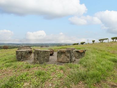 Tree stump seats arranged in a circle around a fire pit on a grassy hilltop at Laird Lodge 5 in Lochmaben