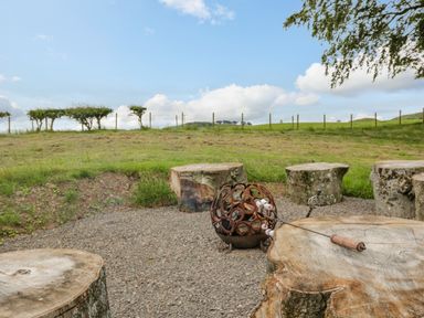 A fire pit area with tree stump seats and skewers with marshmallows in a grassy field at Laird Lodge 5 in Lochmaben