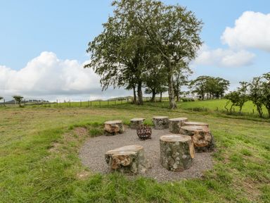 An outdoor fire pit area with tree stump seats arranged in a circle in a grassy field at Laird Lodge 5 in Lochmaben