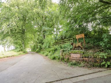 A country road lined with trees and a stone wall with a bull statue and signs for Whitelaird Farm and Laird Holiday Accommodation at Laird Lodge 5 in Lochmaben