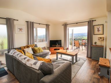 A living room with a gray sofa decorated with cushions a wooden coffee table a television a cabinet and an open door leading to an outdoor patio at Dragonfly Lodge in Worthen near Minsterley