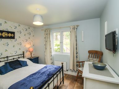 A bedroom with a bed with blue pillows and blanket a bedside table with lamp a window with curtains a wooden chair a white table with a bowl and a wall-mounted television at Dragonfly Lodge in Worthen near Minsterley