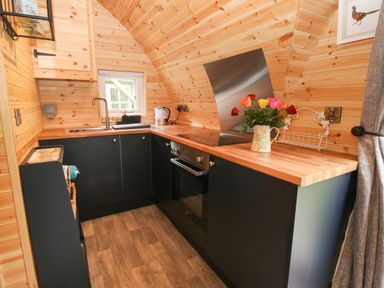 A kitchen with a sink stove oven and flower vase on the counter at The Pod in Worthen near Minsterley